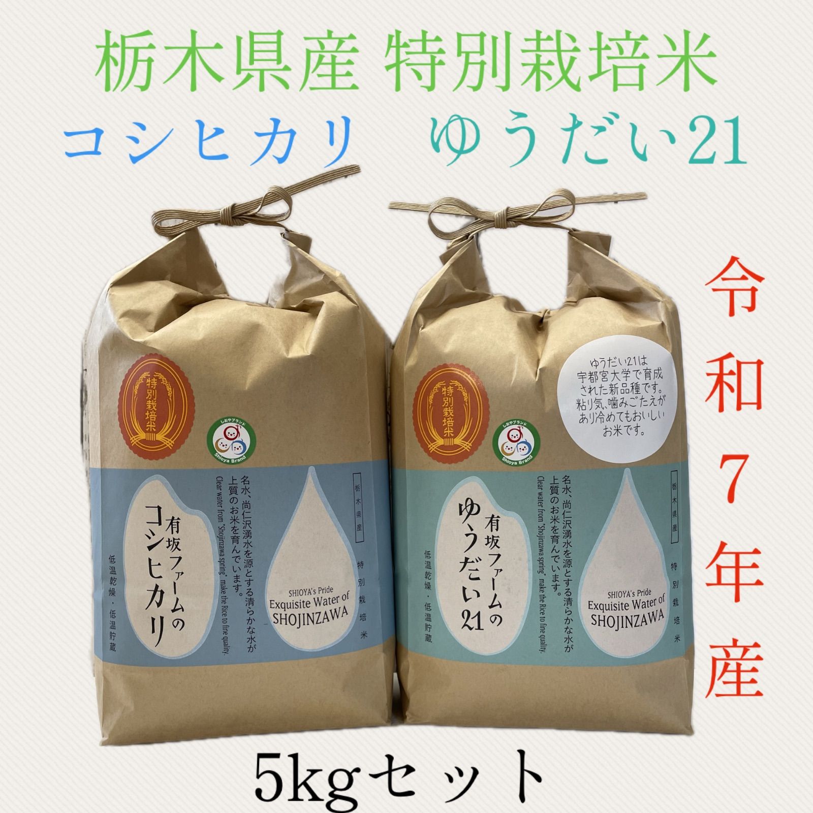 玄米20キロ【農家直送！】新潟県産こしいぶき 特別栽培米 6年産 低温