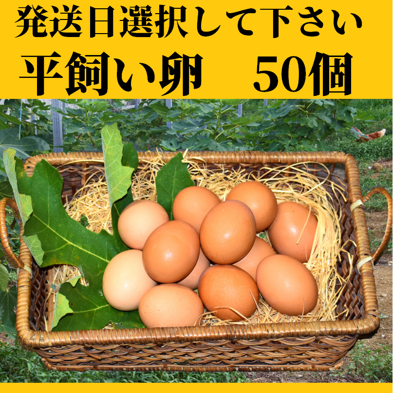 A4等級以上 平飼い卵50個5/18常温発送 - 通販 - spinzerchicago.com