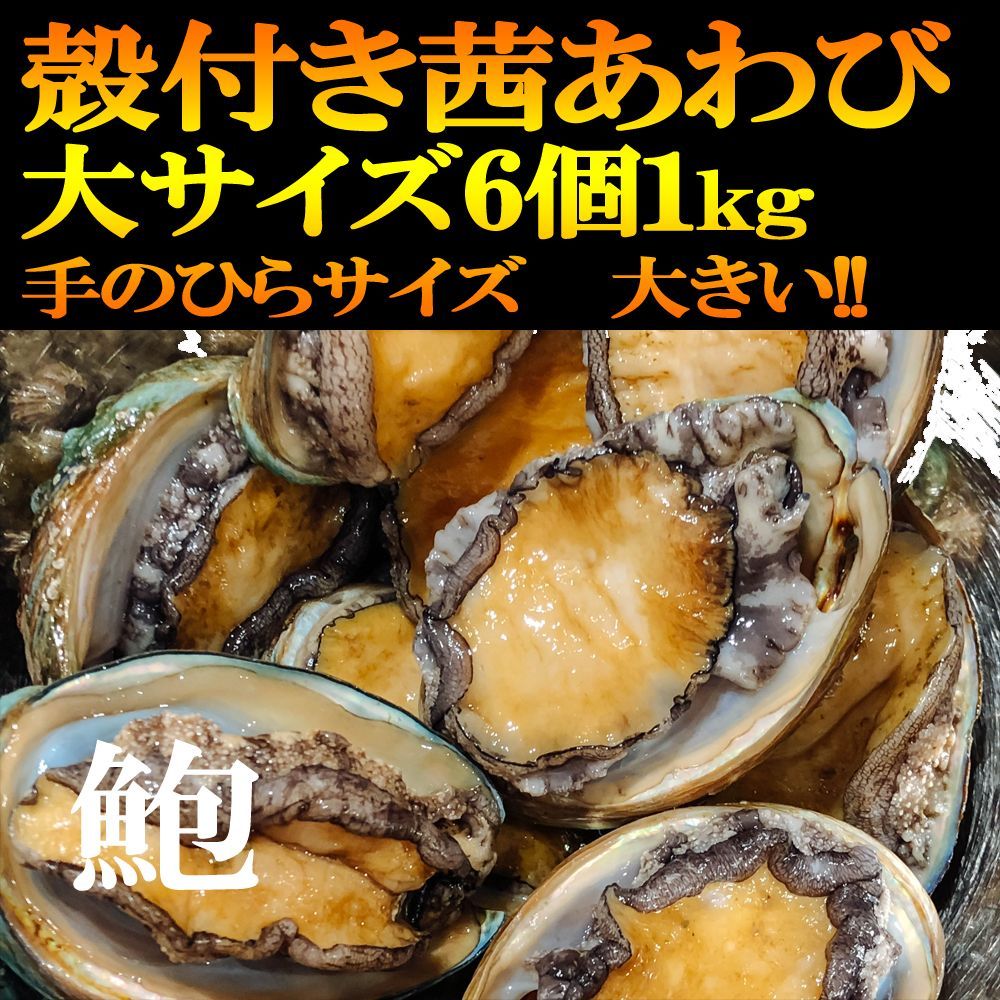 メルカリshops 特大１ｋｇ 茜鮑あわび 150gサイズ 6個入り あかねあわび殻付き 刺身