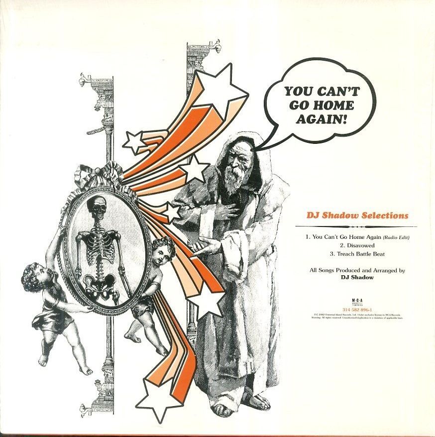 12インチ1枚 / DJシャドウ(DJ SHADOW) / You Cant Go Home Again