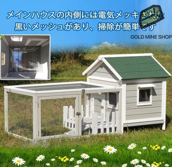 リス ハムスター