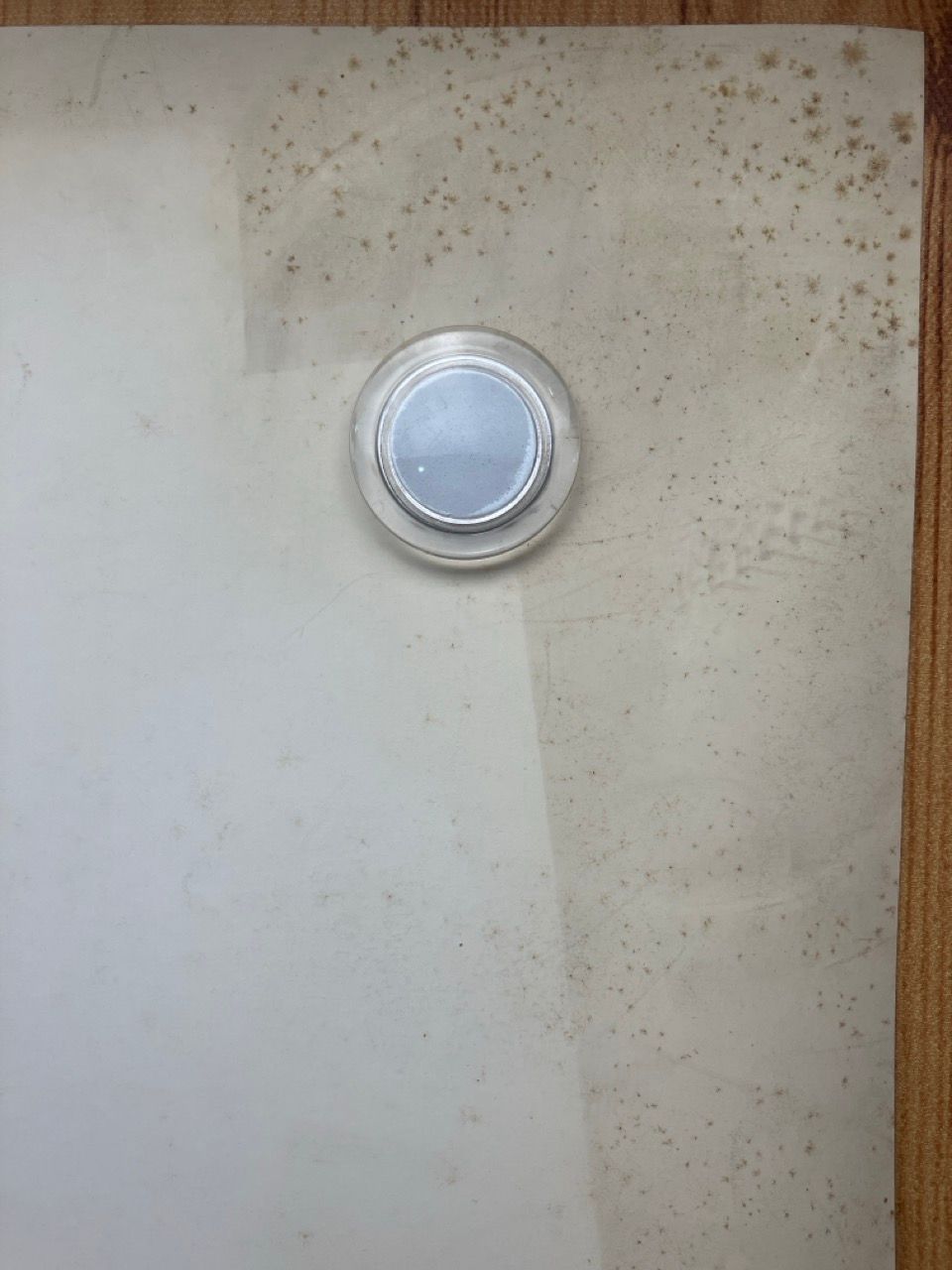 ポスター BUCK-TICK