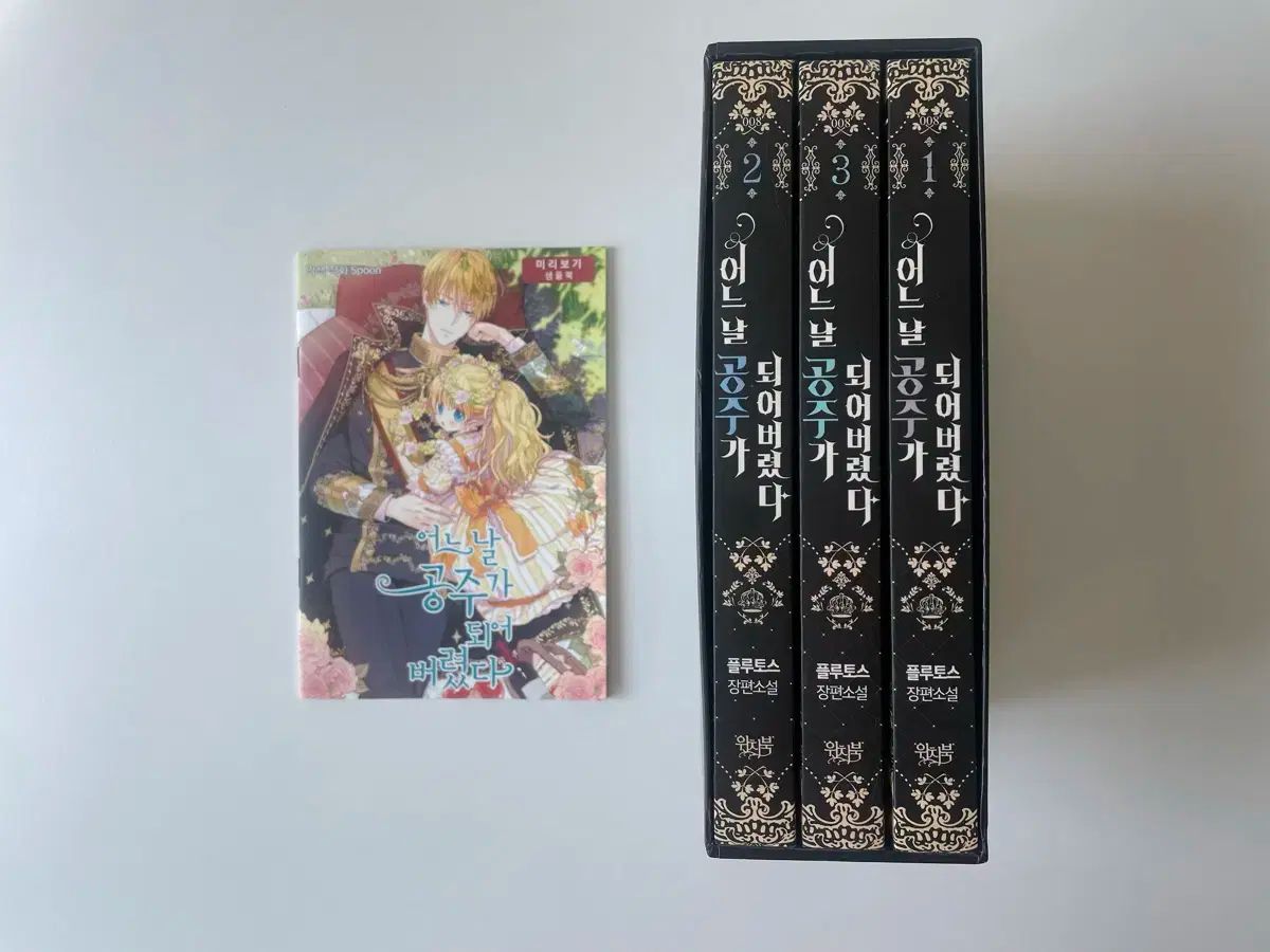 ある日 私はお姫様になった ある日 お姫様になってしまった件について 小説 初版 付録 含む