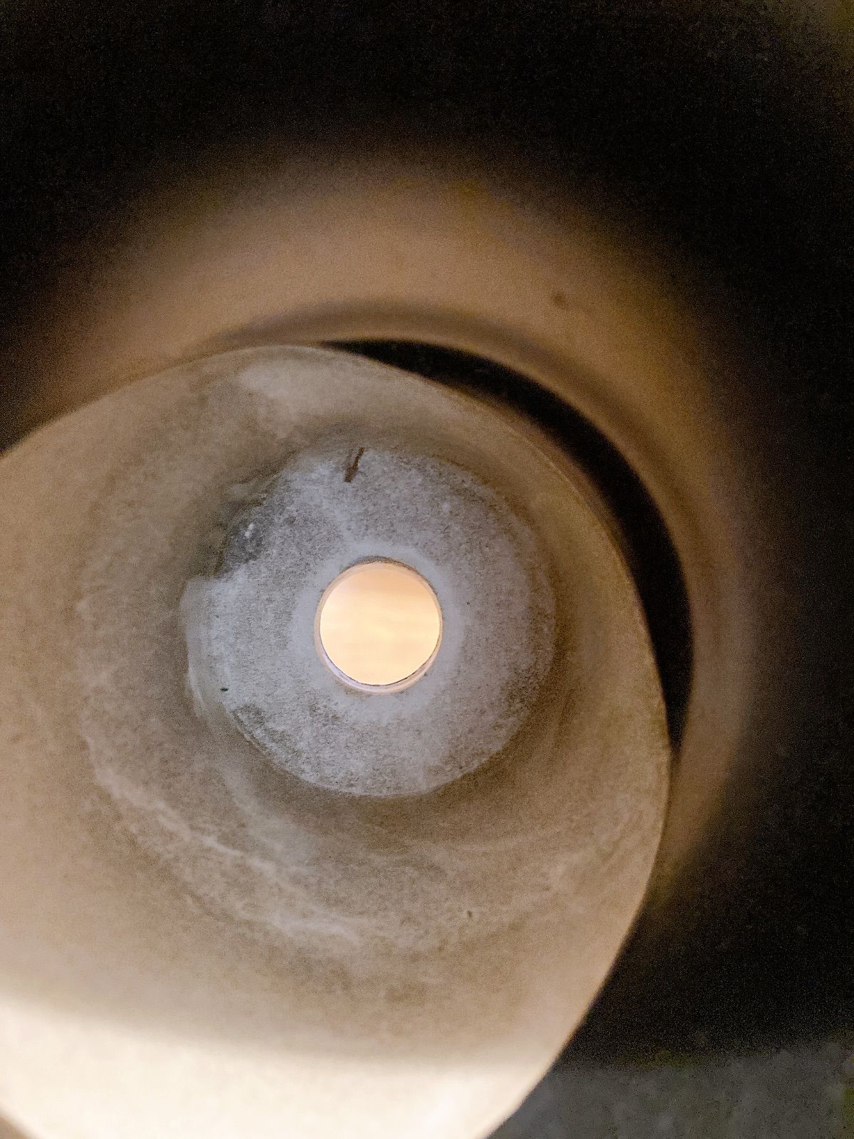 アガベ鉢 ハチ 植木鉢 インテリア 園芸 ガーデニング グラキリス 塊根