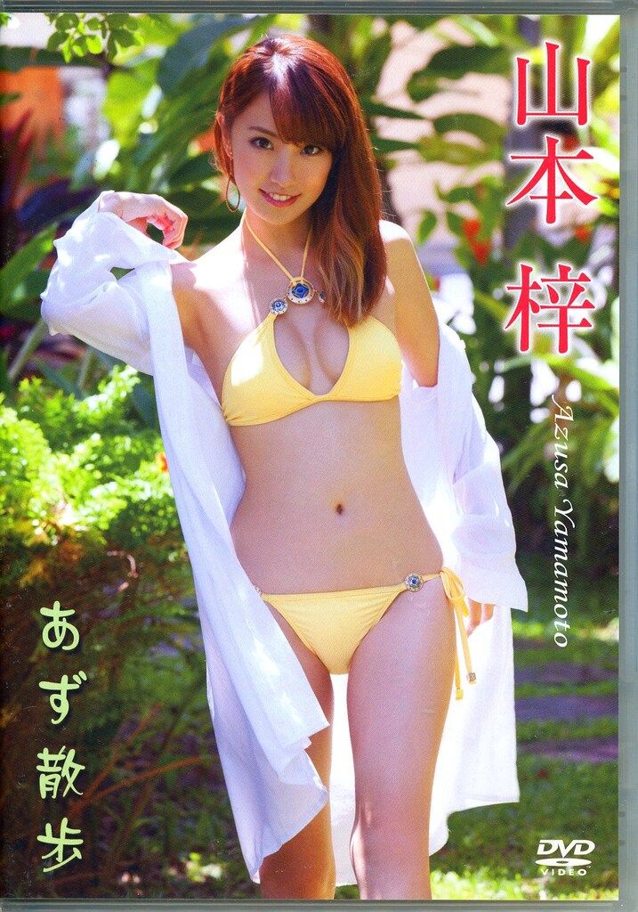 イーネット・フロンティア DVD 山本梓 あず散歩 - メルカリ