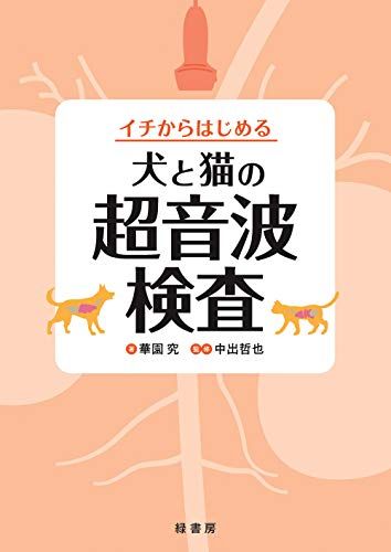 イチからはじめる犬と猫の超音波検査／華園 究