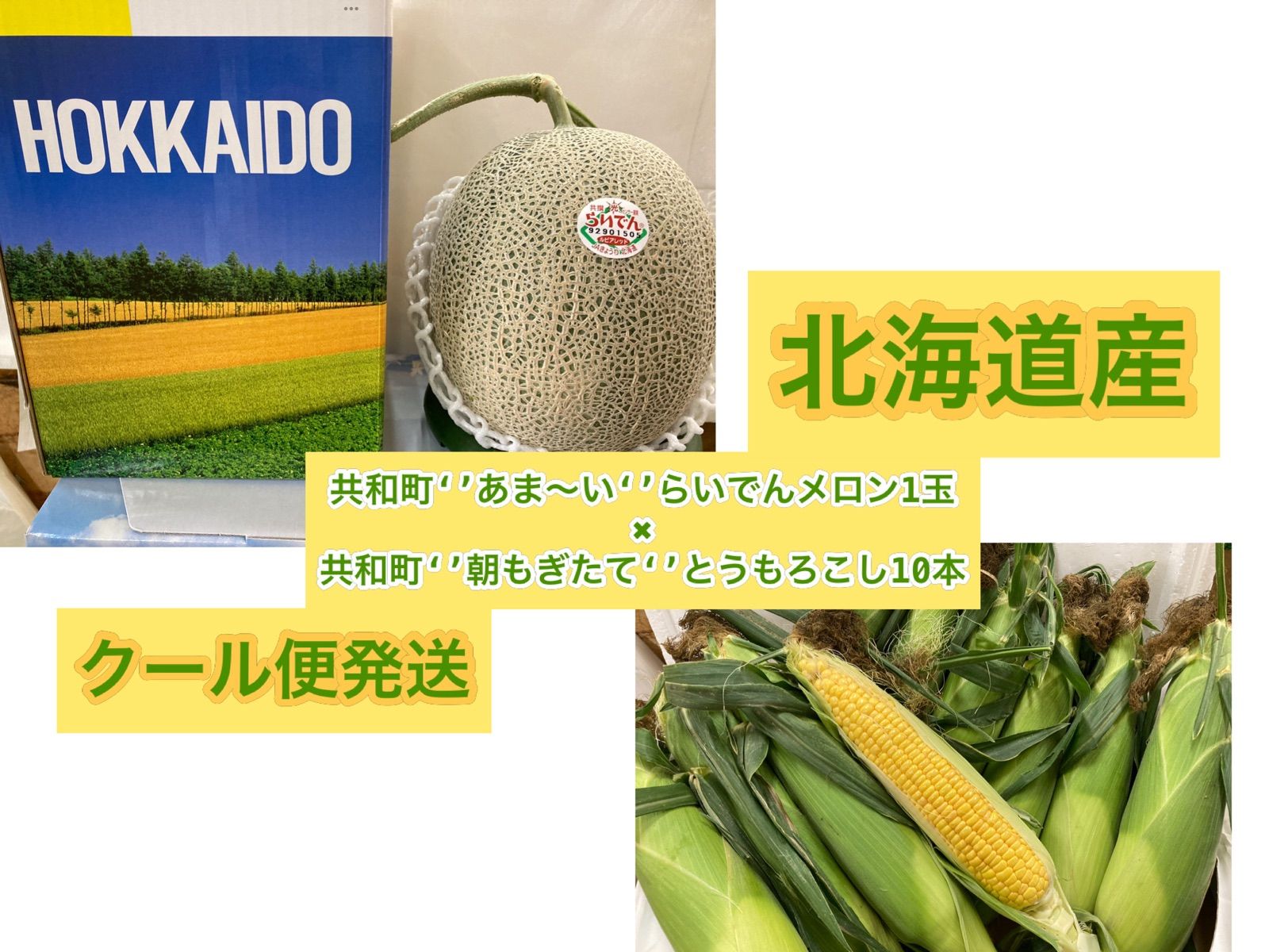 北海道最強セット野菜2023年【北海道共和町らいでんメロン1玉〔約2kg前後〕✖︎北海道朝もぎとうもろこし10本】冷蔵便