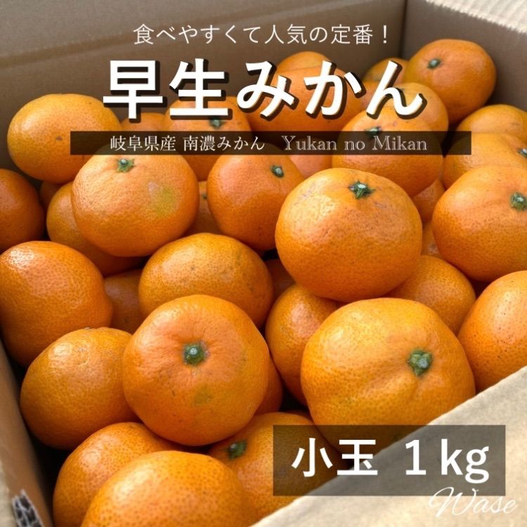 南濃みかん【早生】小玉　ゆかんのみかん　1kg　メルカリ
