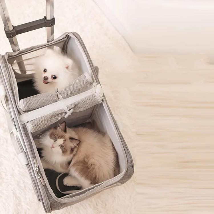 Amazon.co.jp: HOVONO 猫 2 匹 キャリー キャスター付き 小型 犬