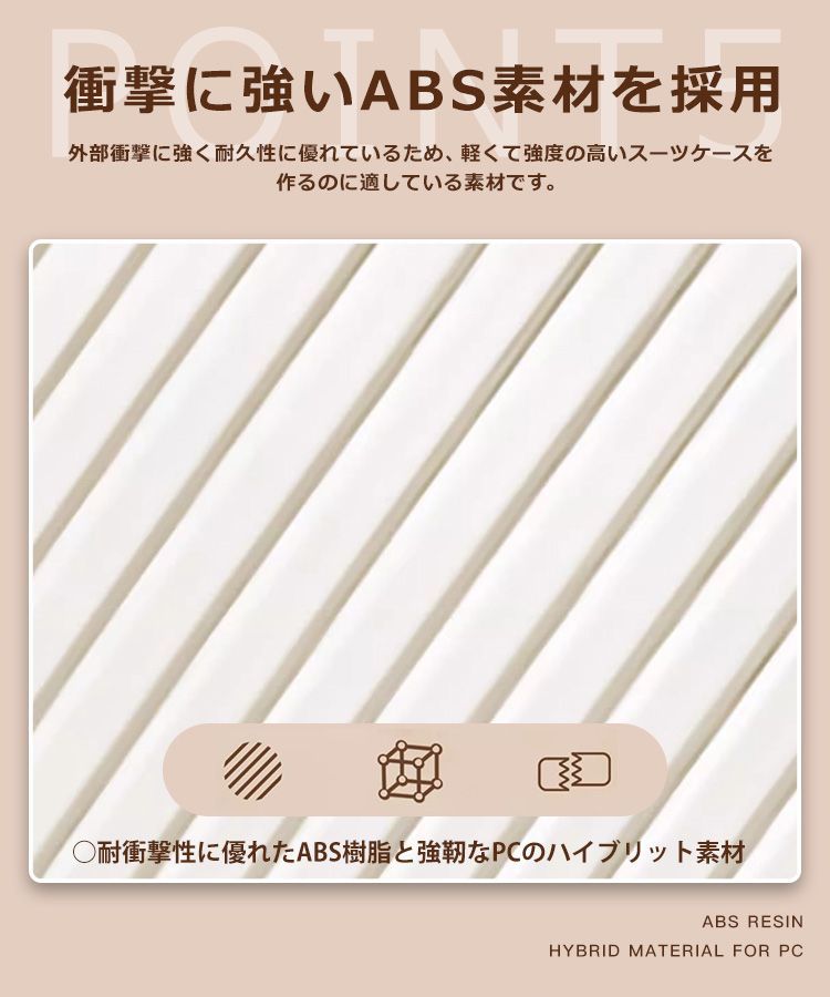 機内持込み