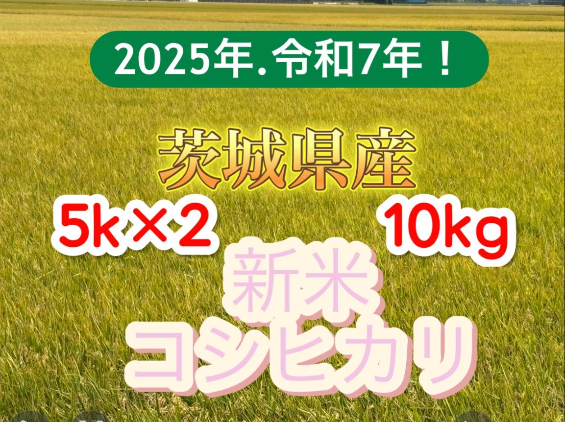 新米5k×2 10キロ 令和7年産 銘柄米 1等米