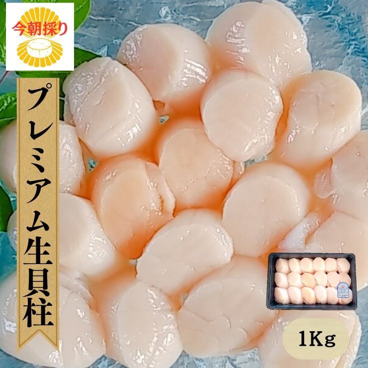 【新物】今朝採り『プレミアム生貝柱1Kｇ 現在20～40玉』三陸 宮城 女川産 雄勝産 朝採り ホタテ ほたて 帆立 刺身 フライ 海鮮丼 1度も冷凍してない 冷蔵品 大きな貝柱 厳選 割れなし 高級品 正規品 お取り寄せ 産直 グルメ ギフト のし対応