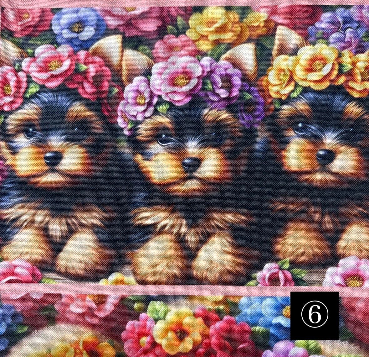 パネル ワンチャン