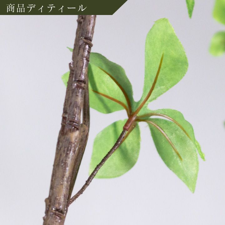 シルカ