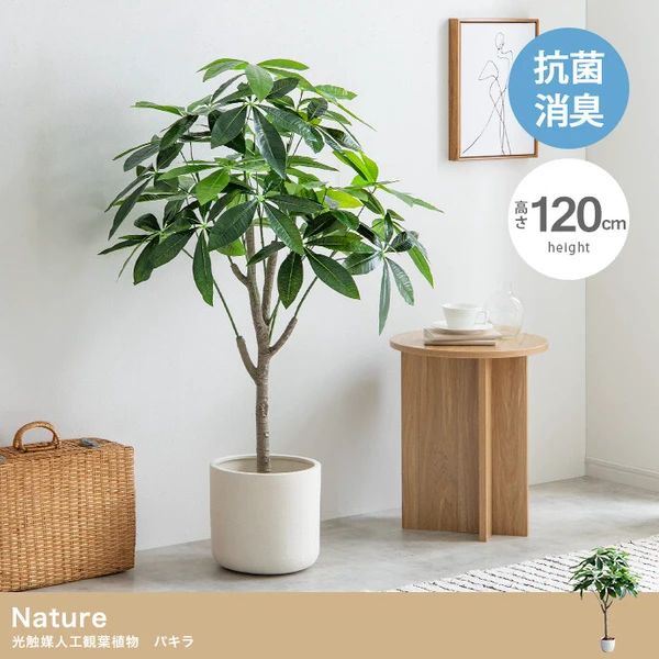 光触媒　人工観葉植物　ウォールグリーン　造花　インテリア　パキラ120 光触媒 人工観葉植物 高さ120cm パキラ フェイクグリーン