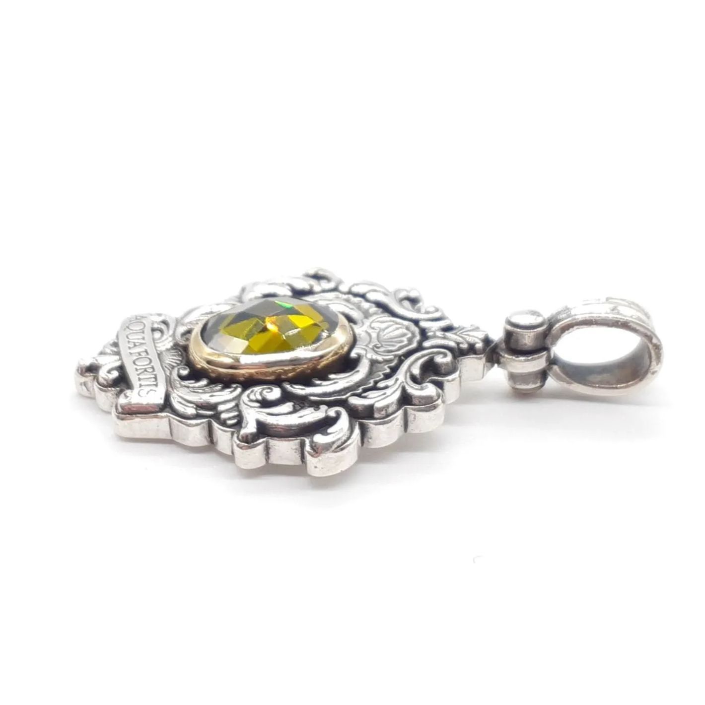AQUA FORTIS アクアフォルティス ネックレス ペンダントトップ 