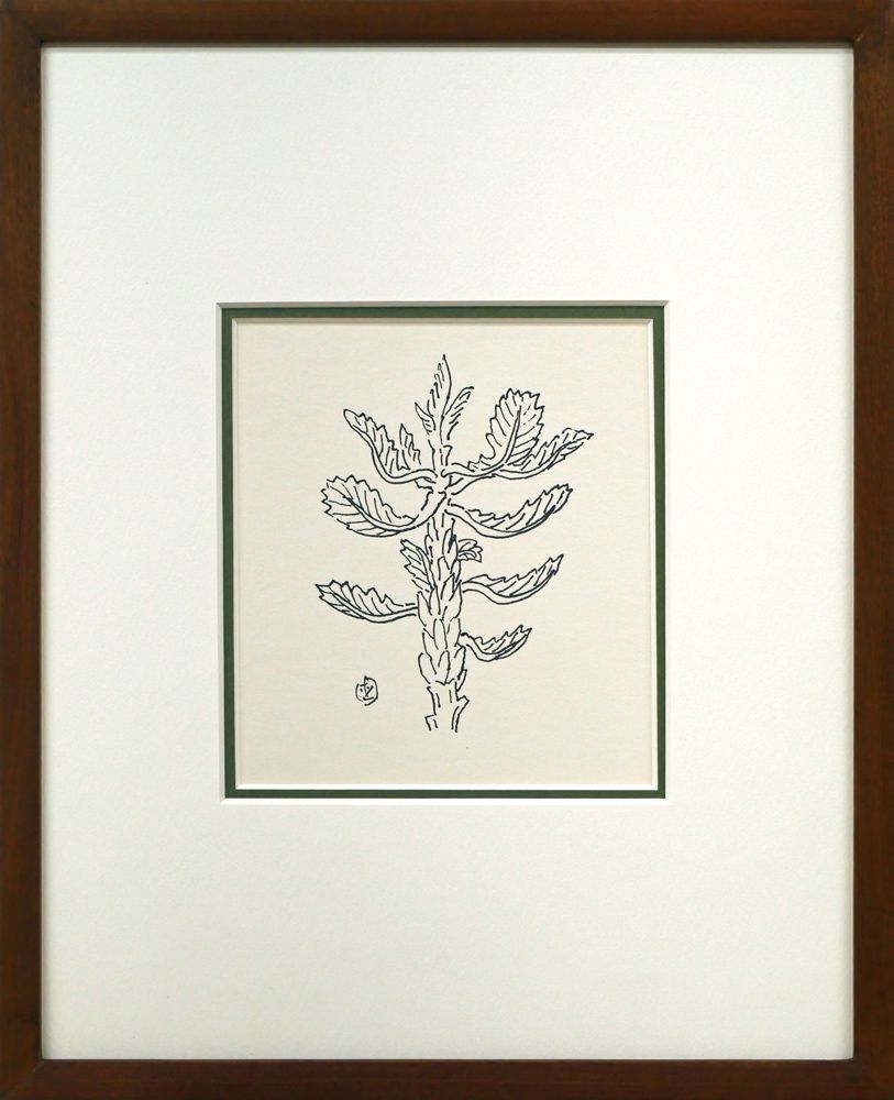 坂本 直行「かしわ」ペン画（13.2×11.8cm）直筆サイン入り 六花