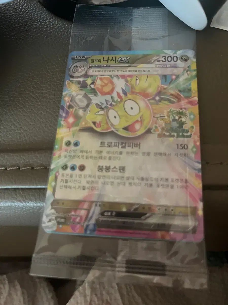 ポケットモンスター アローラ ノースリーブ ex カード チェジュ プロモーション