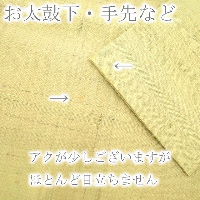 【中古】すごい値！名古屋帯 九寸 正絹 極上 手描き 手織り 生紬 くすみ淡黄緑 カトレア 花 お太鼓柄 中古 カジュアル 仕立て上がり 春 秋 冬  販売 購入 リサイクル すごいね neb00596