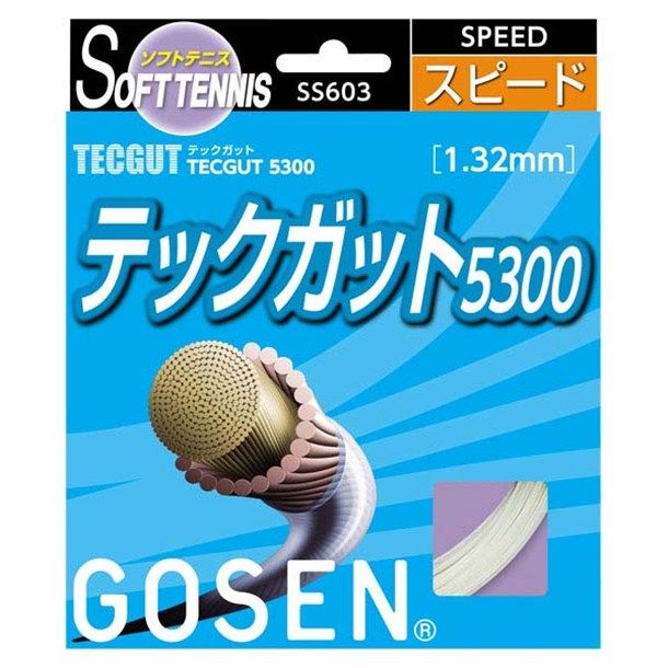 ゴーセン GOSEN テックガット テックガット 5300ナチュラル 20P テニスソフト ガット SS603NA20P 選択