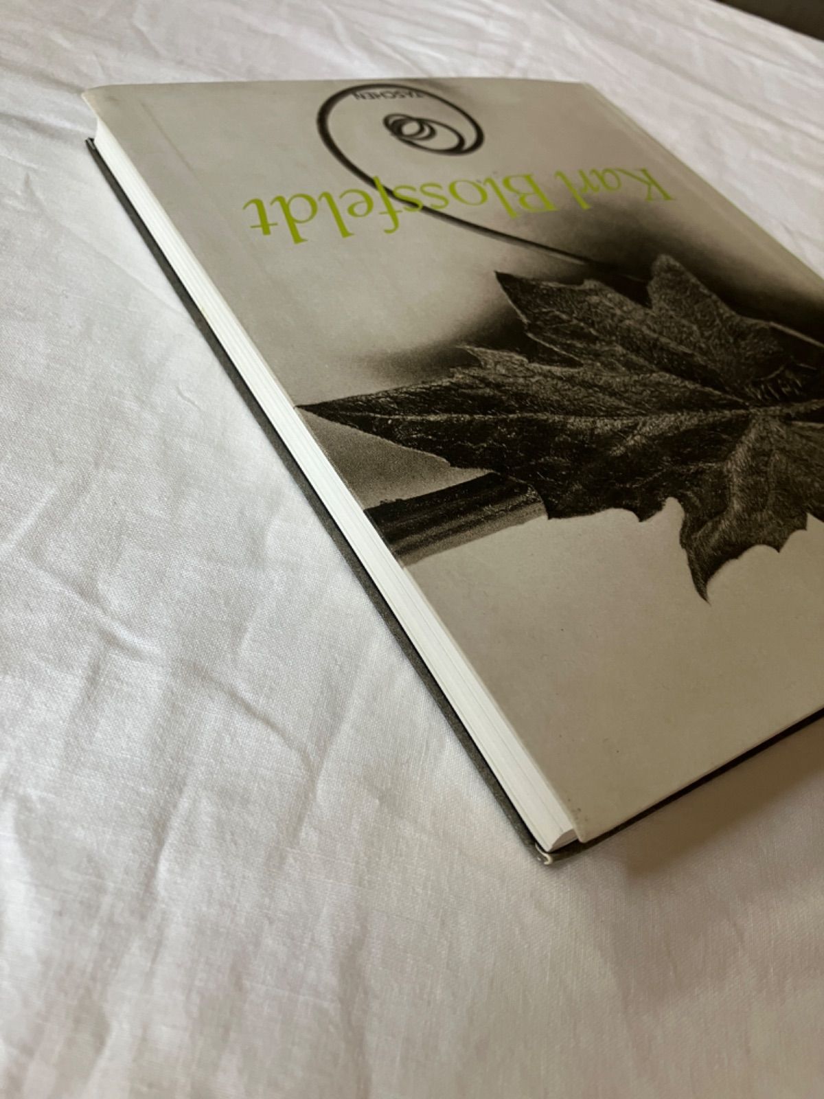 カール・ブロスフェルト 写真集 Karl Blossfeldt - メルカリ