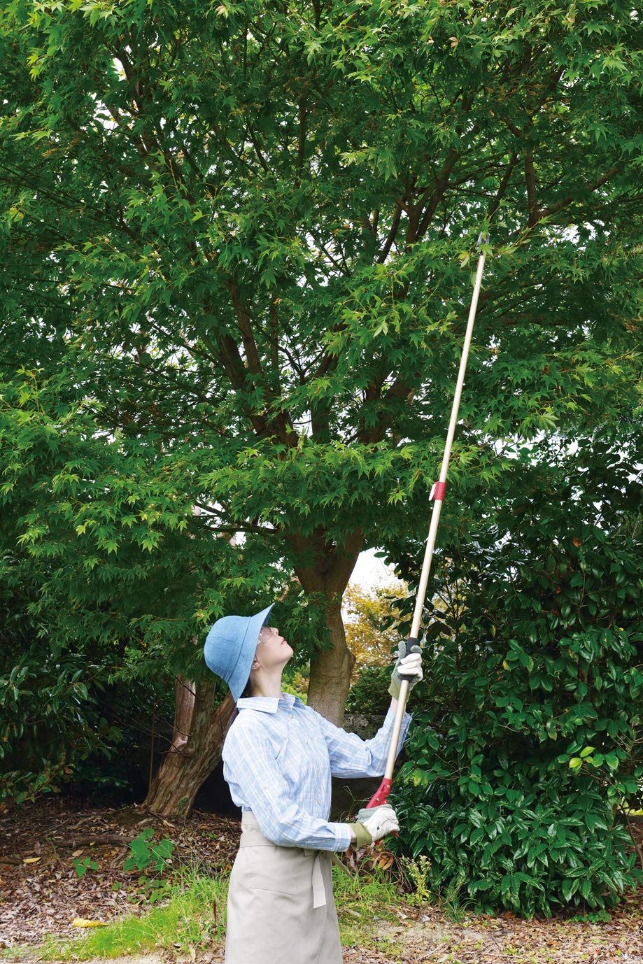 即日発送 高枝切狭 高枝切りバサミ 軽量 剪定刃1.3-2.0m 燕三条ブランド 枝を切断 キャッチ 可動式キャッチャー採用 高枝切はさみ 軽量伸縮高枝切鋏 × 高儀 Takagi 5 YUZUMIYA_COM