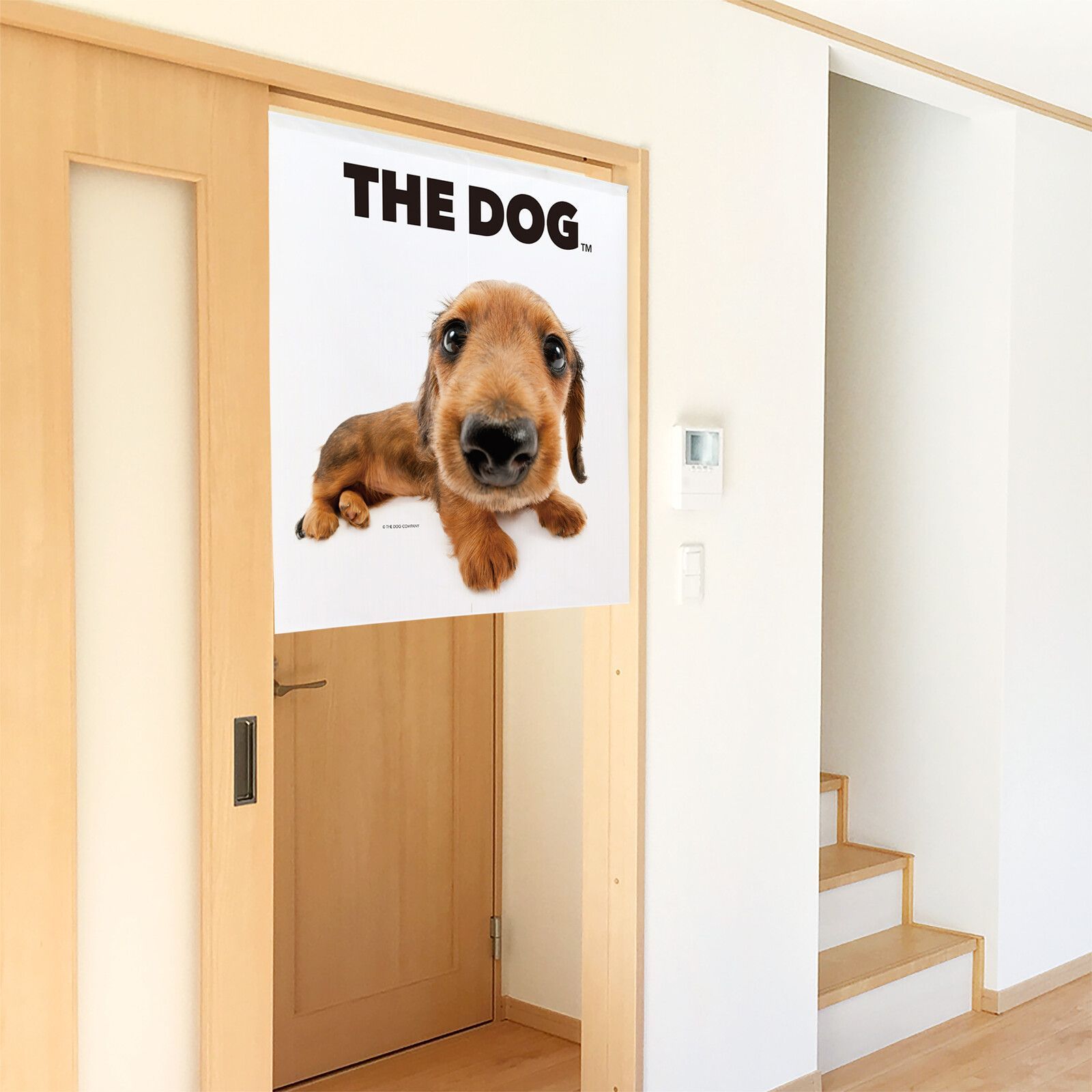 のれん 暖簾 THE DOG いぬ 犬 ダックスフンド 85×90 日本製