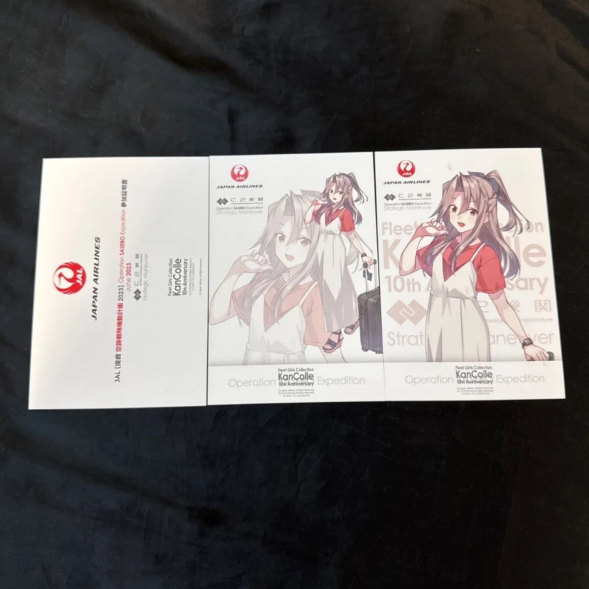 艦これ　空路戦略機動JAL ゴトランド　ヴァリアント 瑞鳳　迅鯨　ポストカード m24009054002_1.jpg?1731117329