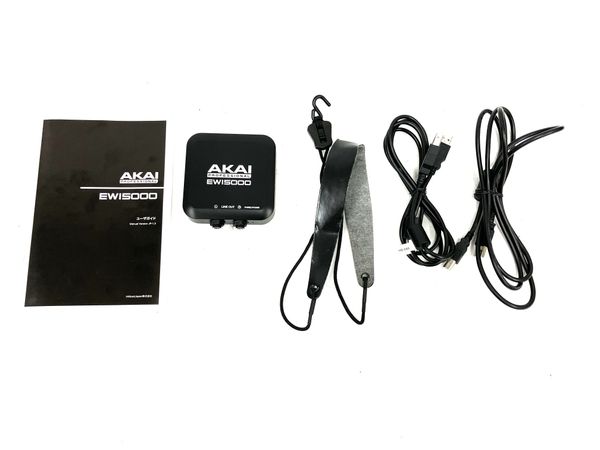 AKAI EWI5000 PROFESSIONAL 電子サックス ウインドシンセサイザー 楽器