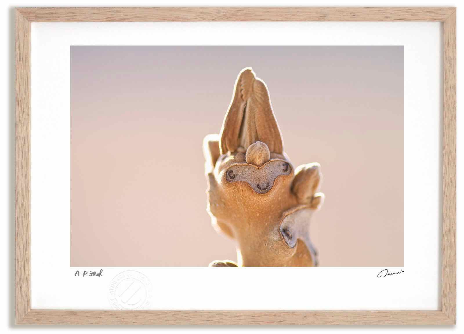 アートフォト 絵画 クルミの冬芽4|南富良野町 高橋真澄|インテリア 額入り 額装込 風景画 油絵 ポスター アート アートパネル リビング 玄関 プレゼント モダン アートフレーム 飾る Mサイズ おしゃれ 壁掛け 絵