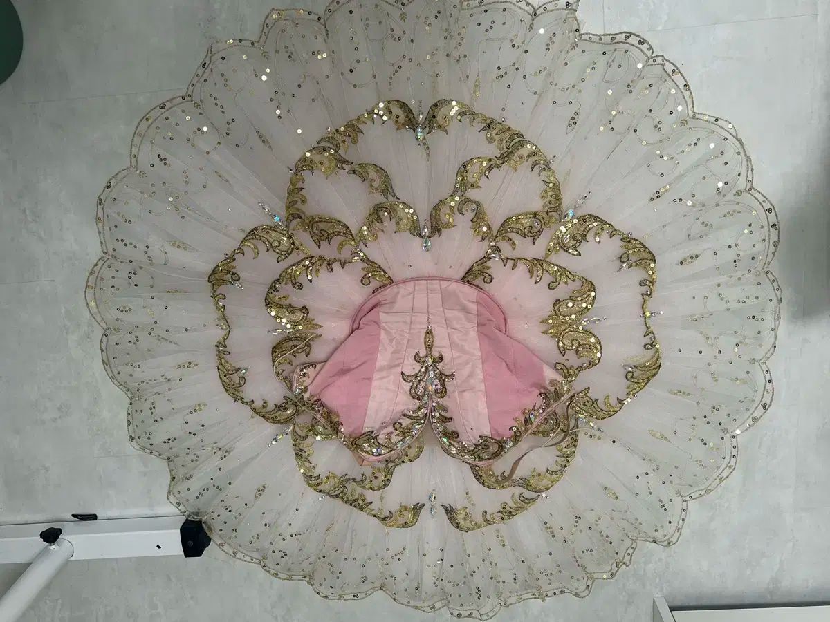 バレエ チュチュ コンテスト コスチューム