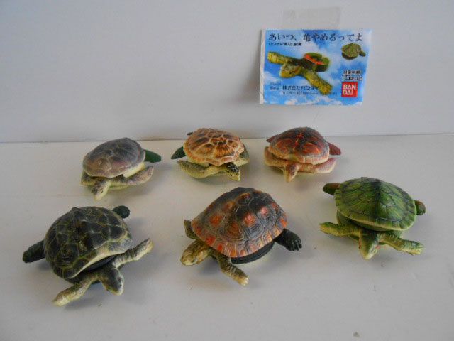 ♯Kgg30Bz あいつ、亀やめるってよ 全6種 ウミガメ - メルカリ