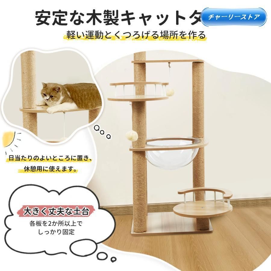 猫 ねずみ