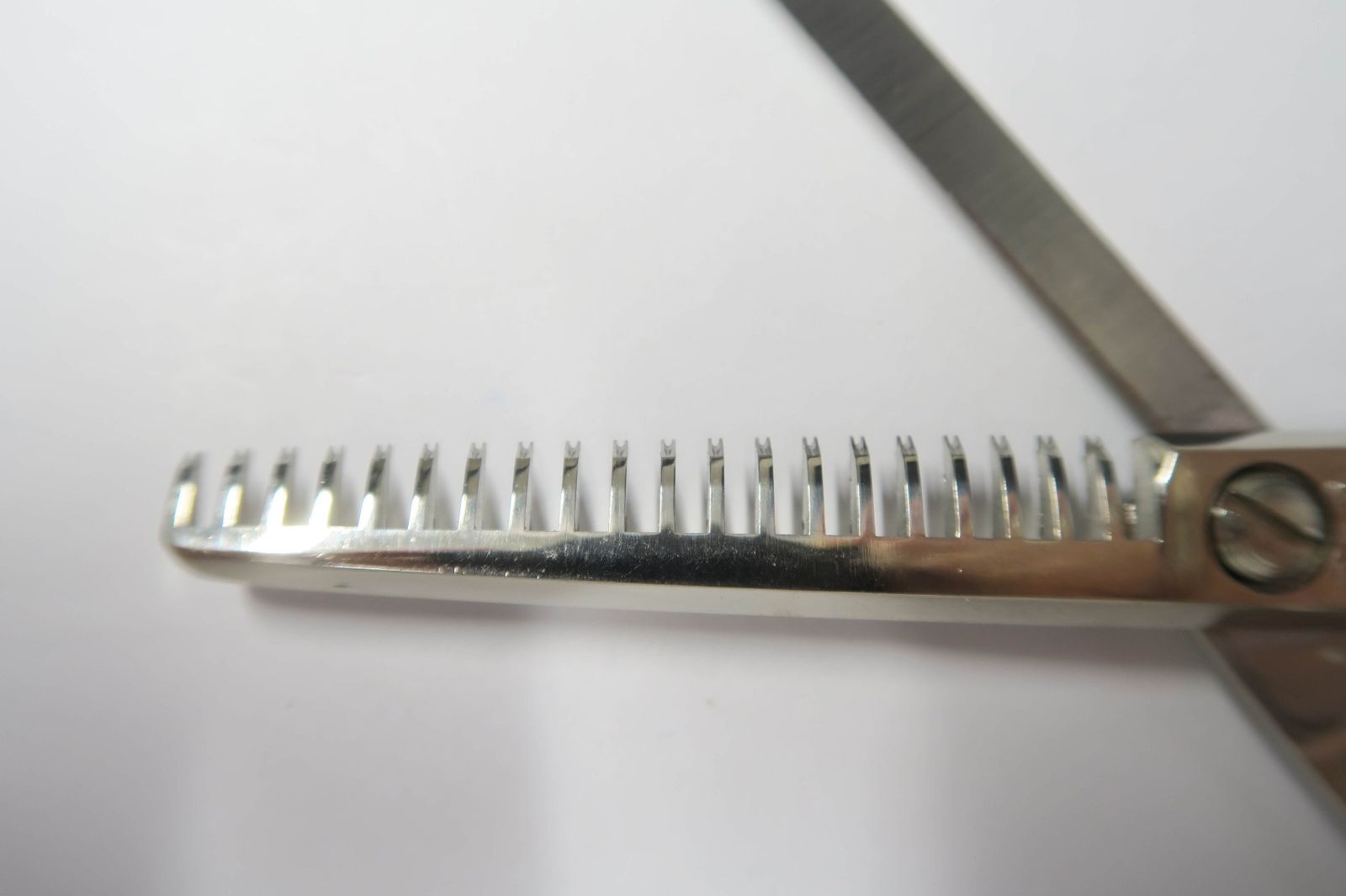 ロイヤルマスターシザーズ(ROYAL MASTER SCISSORS) | Osaka Osaka C