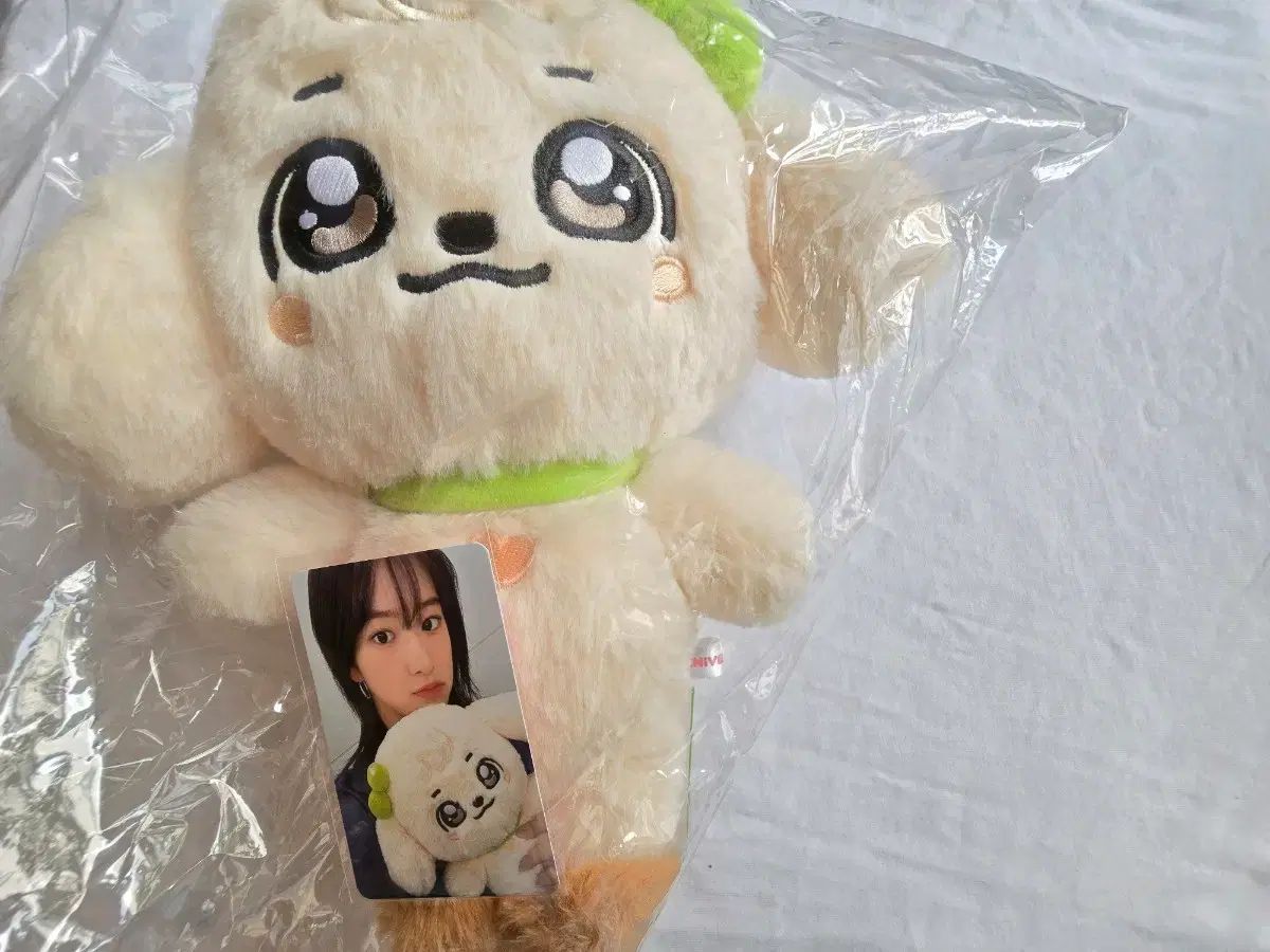 トレカ o 当日配達 アイヴガンガンジ 30cm 人形 ぬいぐるみ ぬい ミニブポップアップ