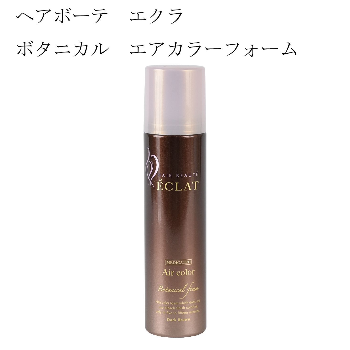 ヘアボーテ エクラ ボタニカルエアカラーフォーム ダーク