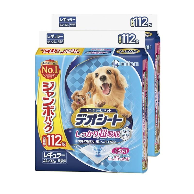 PSA10】 ボルトロスEX SR 079/078 Graded Guard付