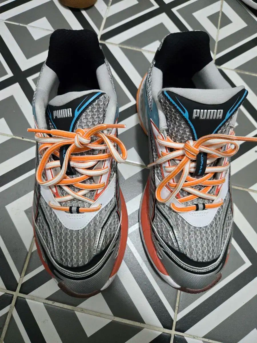PUMA(プーマ) ベロパシス ほぼ新品 280