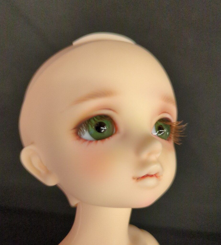 ボークス