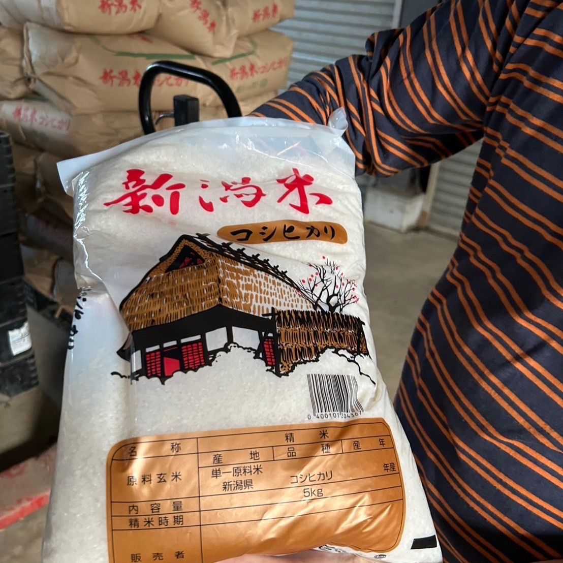 令和7年新米新潟県産 コシヒカリ 武者米 玄米10kg 生産者直送