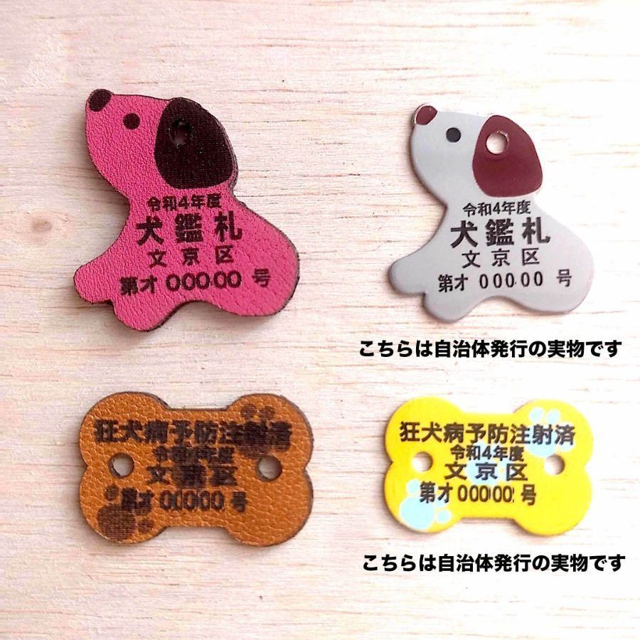 シャワーズV SA 英語版 海外正規品 シャワーズV 英語版 プロモ SA 海外