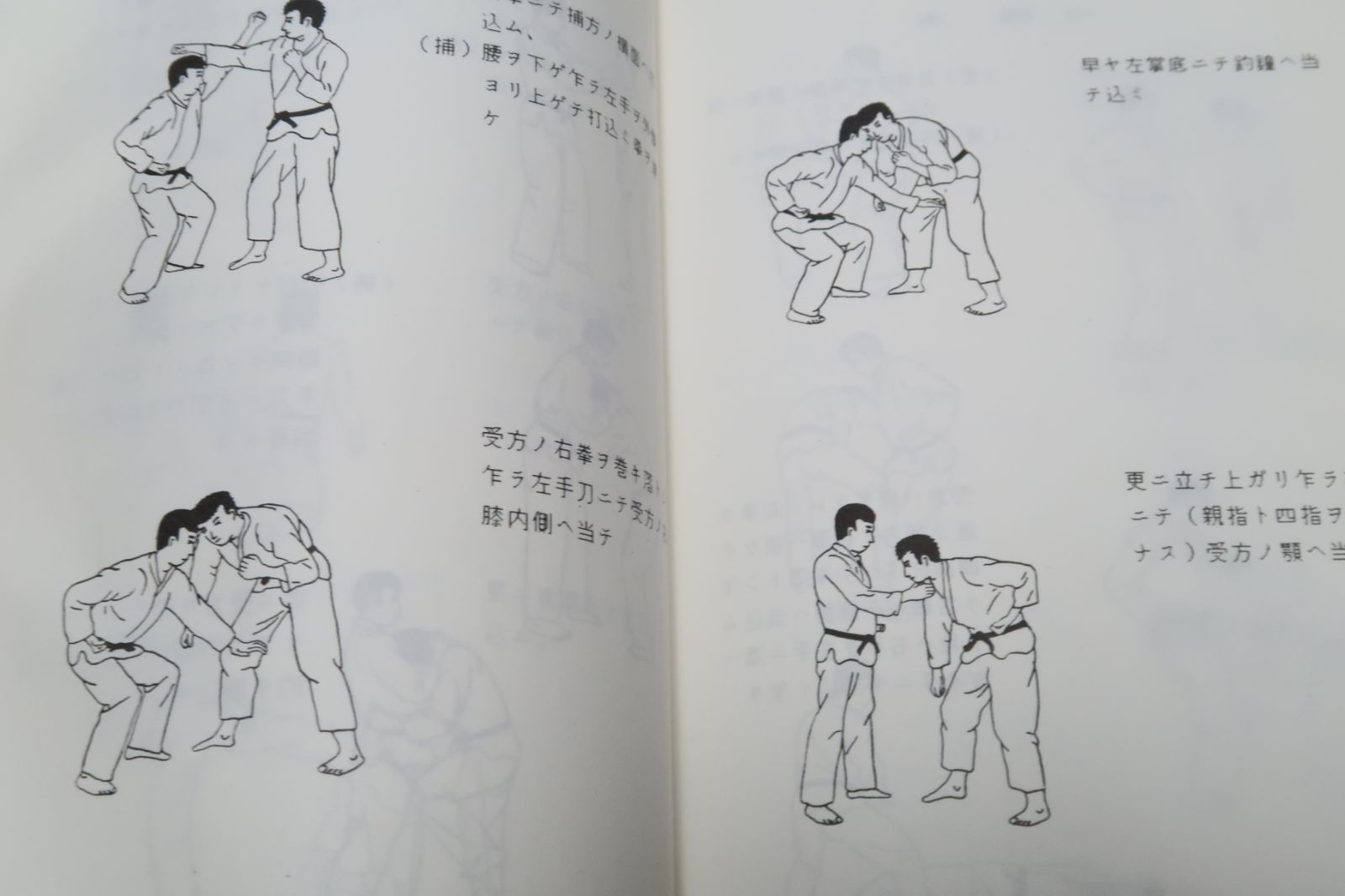 相伝録日本伝・天武天心古流拳法・地之巻/日本伝・逆手術・拳法・捕手術・武道正統・天武天心古流拳法宗家・岩城英男/流祖浅山一伝斎三五郎 -  メルカリShops