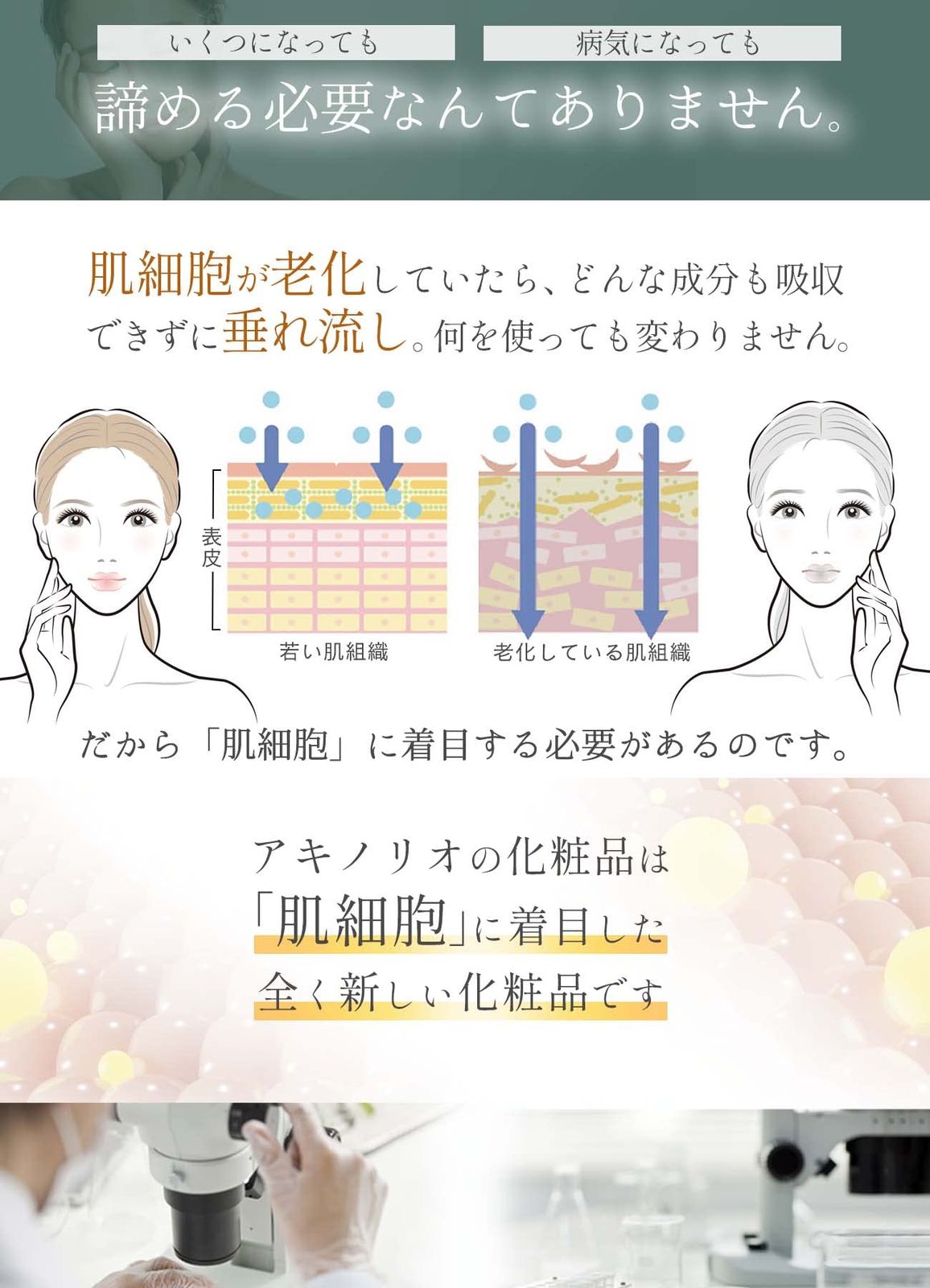 アキノリオ ミトコンドリアの力 アキノリオ化粧品 ミトコンドリアのちから