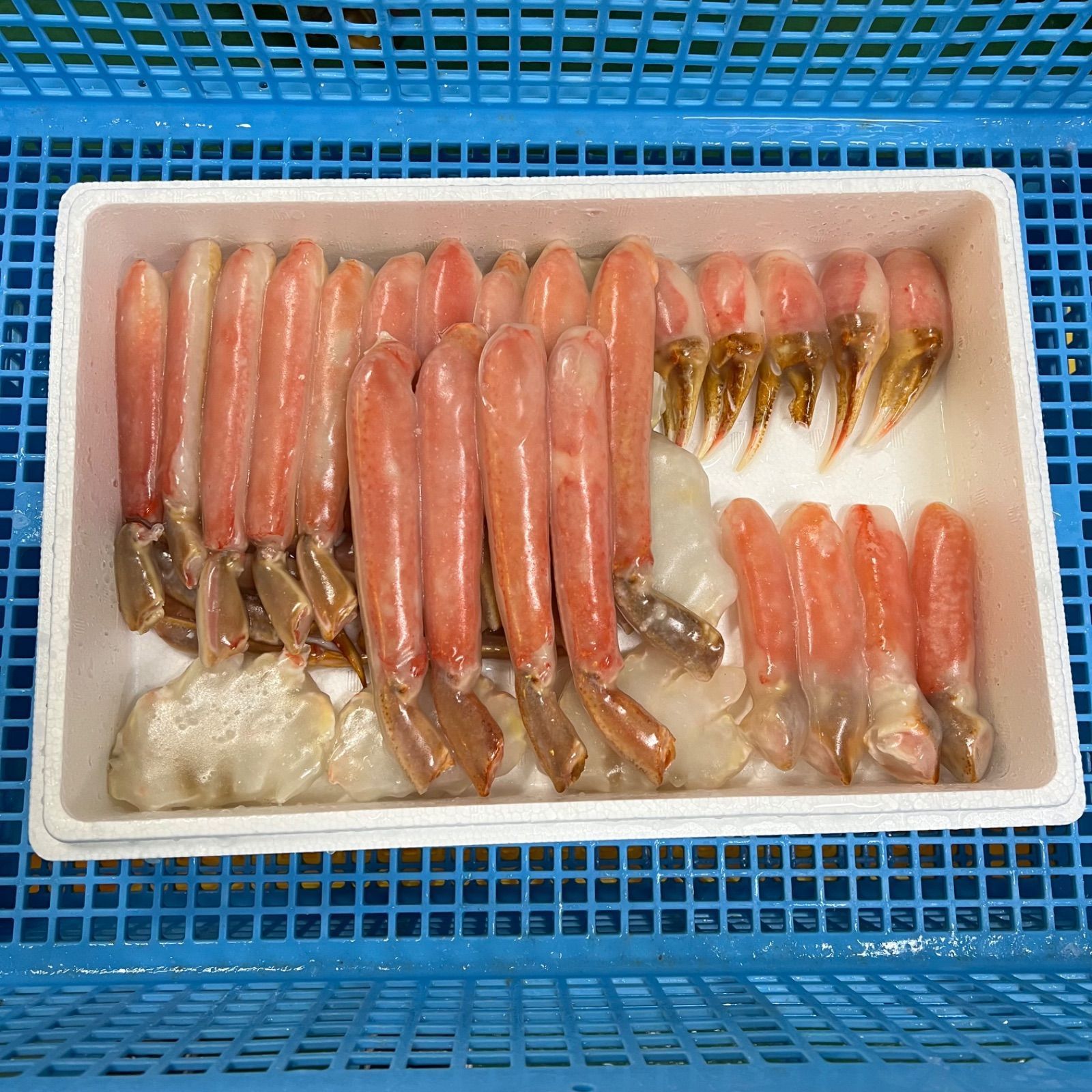 肩肉