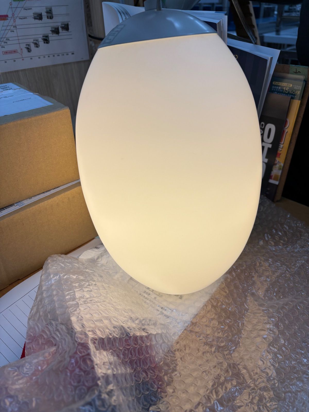 天吊りライト 卵型 コイズミ蛍光灯器具