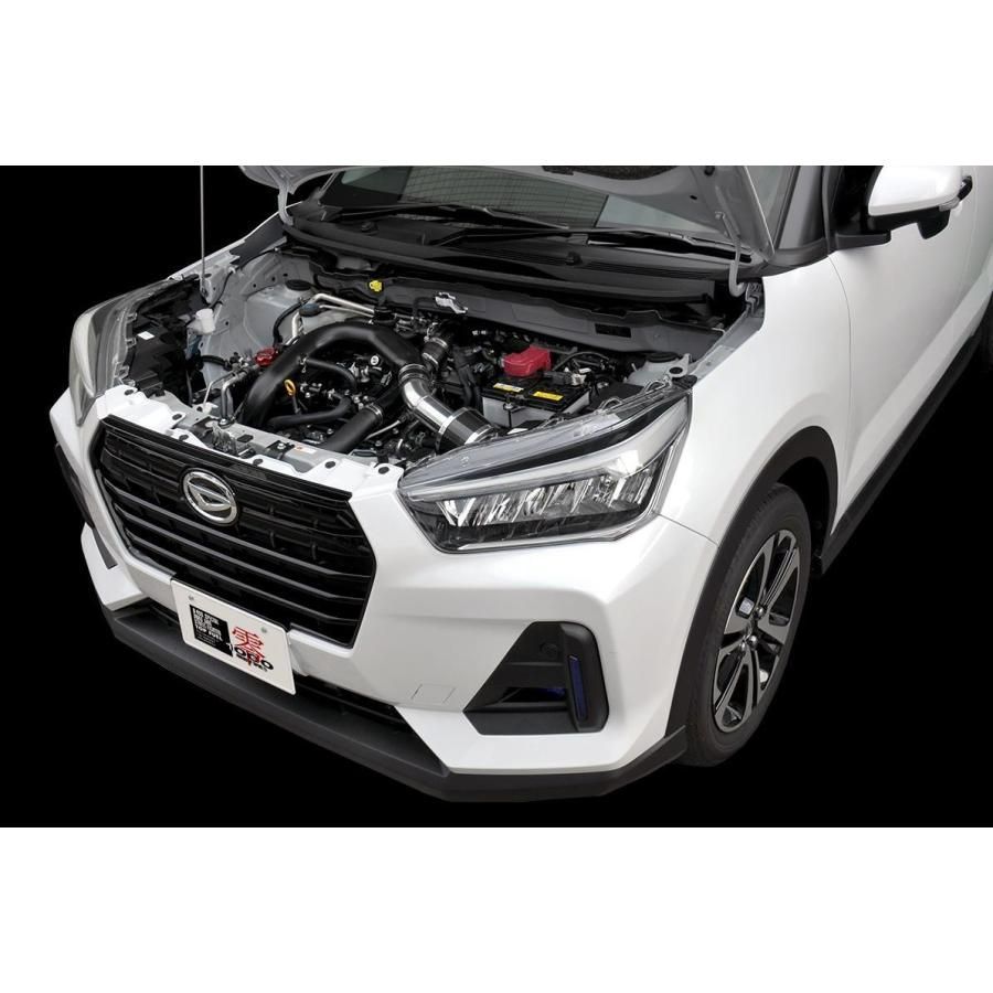 ZERO-1000 零1000 パワーチャンバー タイプ2 スーパーレッド トヨタ ライズ 102-T031 FFCRYSTALESIA_COM