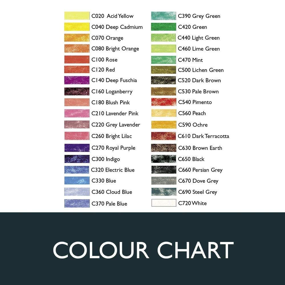 大 ダーウェント 色鉛筆 ソフト 36色セット 0701028 WWW_OLIVIERBERNSTEIN_COM