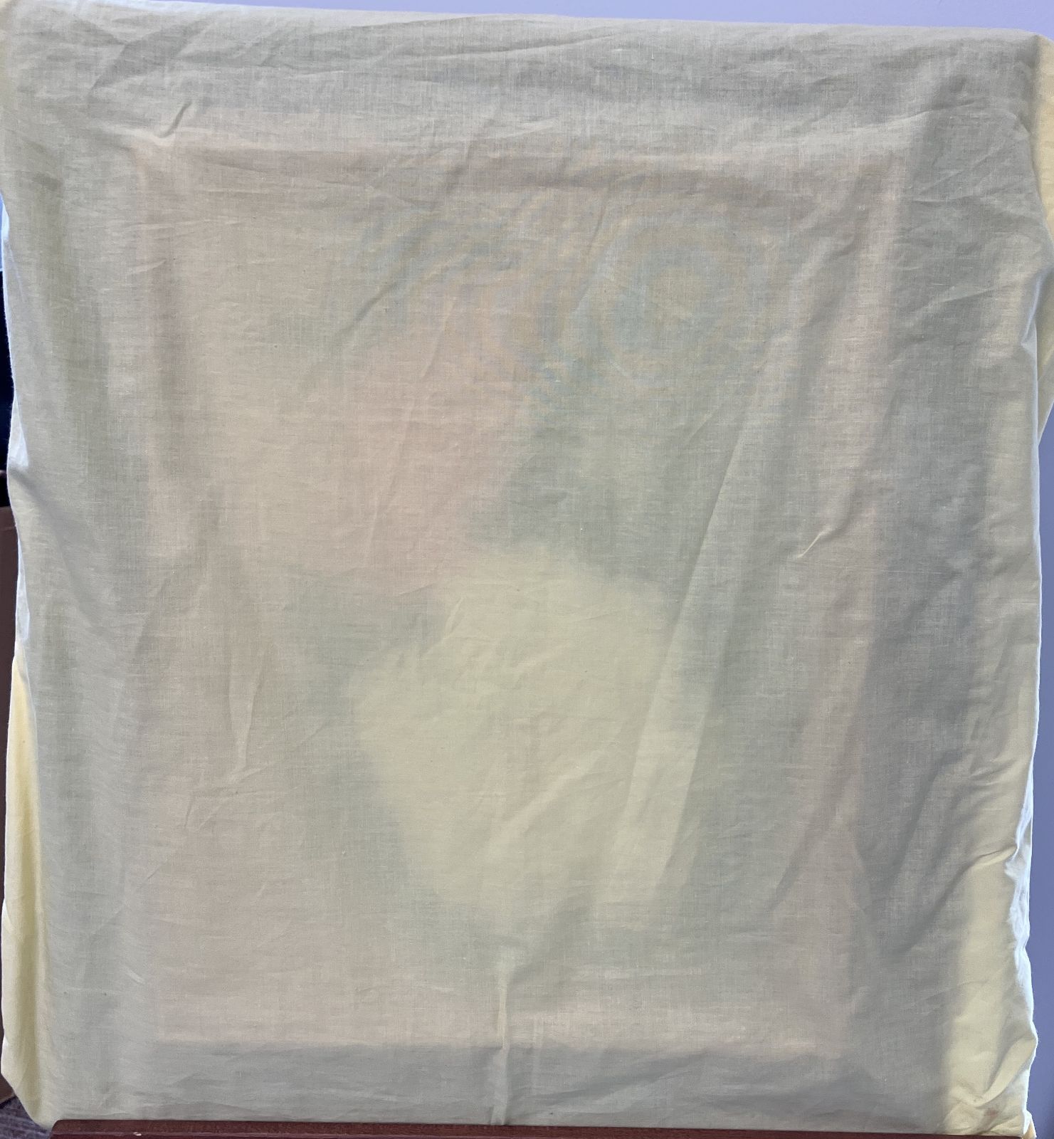 金武翠輝　紅白牡丹 金武翠輝 紅白牡丹額 美術年間掲載作家 極美品 エクセルヒューマン社