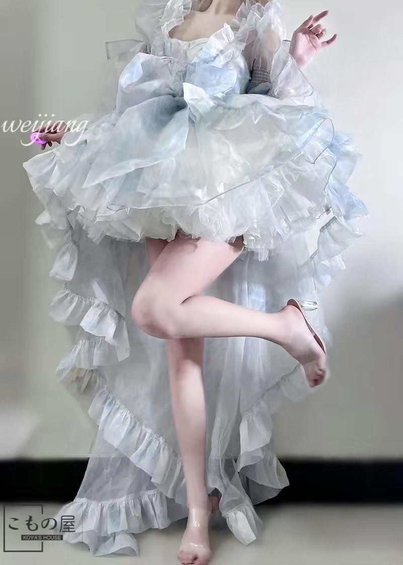 華麗なフレンチ花嫁ドレス