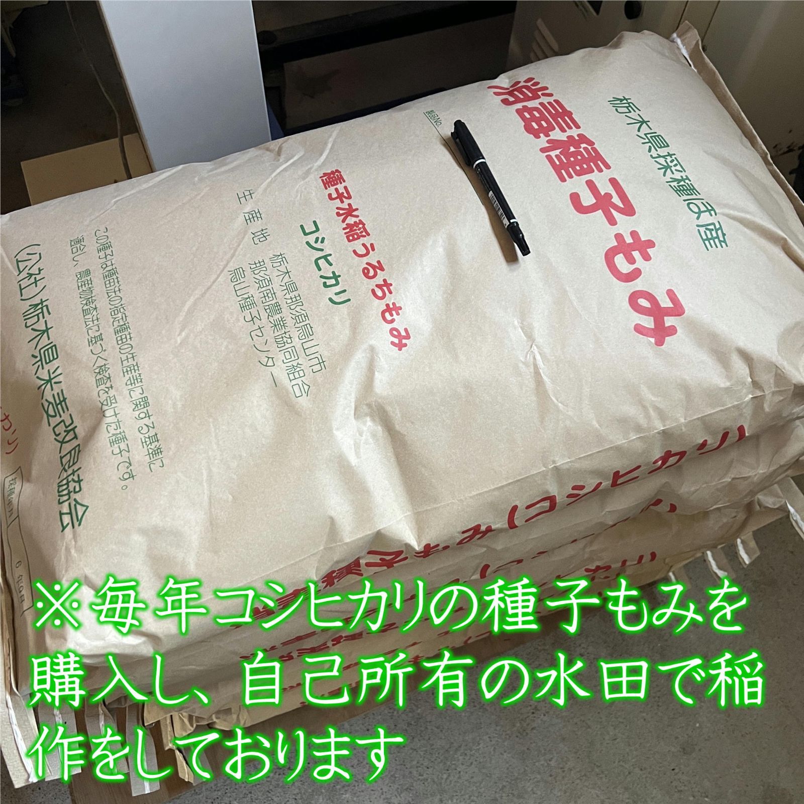令和7年産 栃木県産コシヒカリ玄米10kg - メルカリ